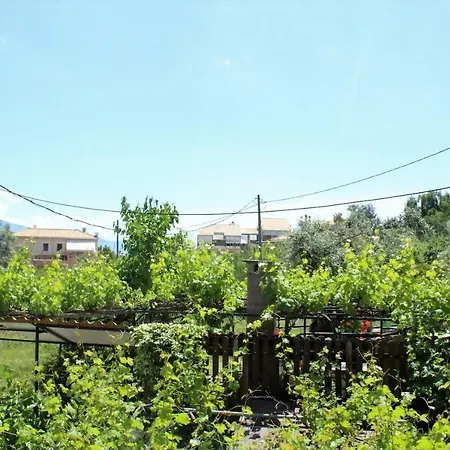 Sofias * ניקיאנה